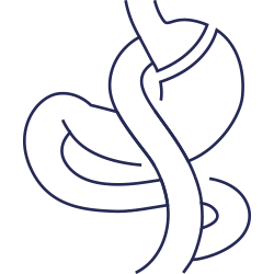 تحويل مسار المعدة